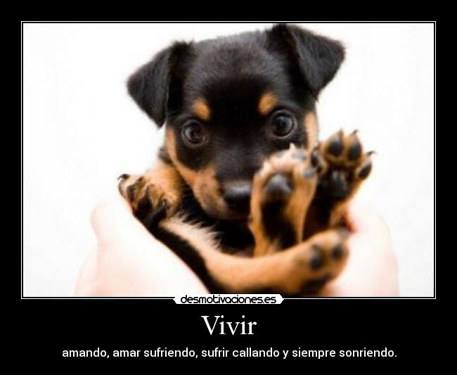 Vivir - amando, amar sufriendo, sufrir callando y siempre sonriendo.