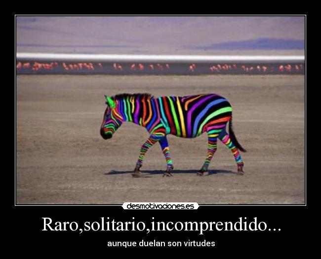 Raro,solitario,incomprendido... -