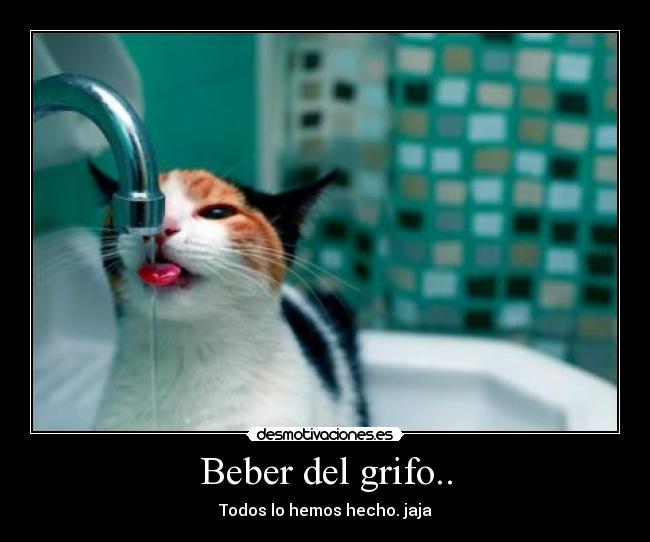 Beber del grifo.. -