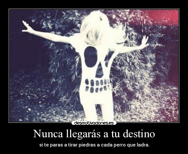 carteles destino nunca llegaras destino paras tirar piedras cada perro que ladra desmotivaciones