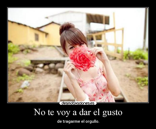 No te voy a dar el gusto - de tragarme el orgullo.