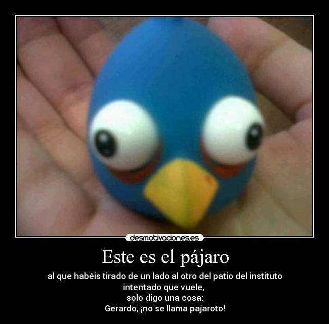 carteles pajaroto desmotivaciones