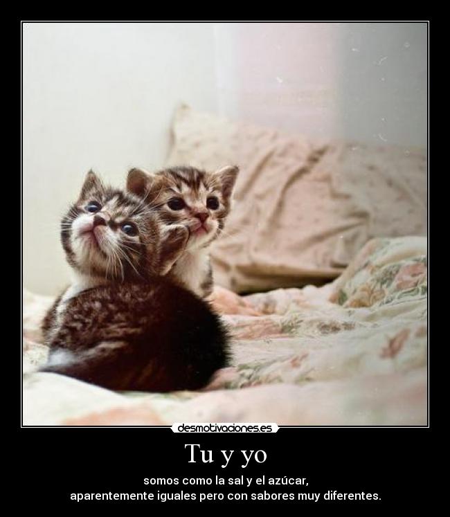 Tu y yo -