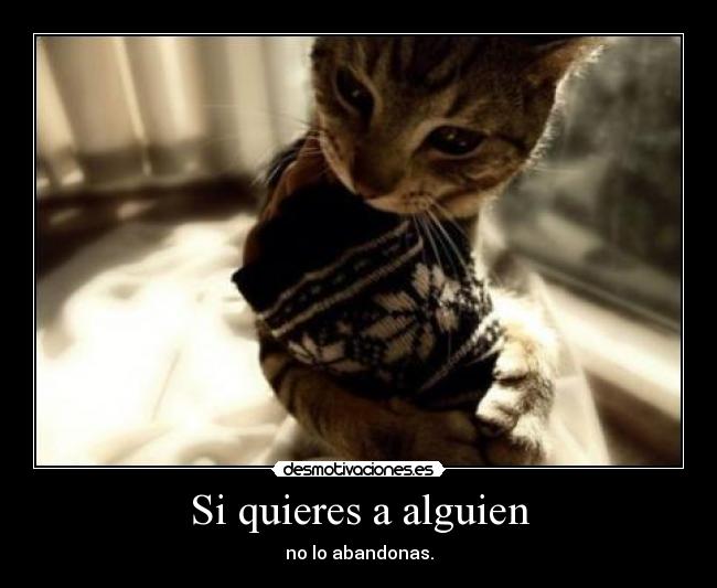 Si quieres a alguien -