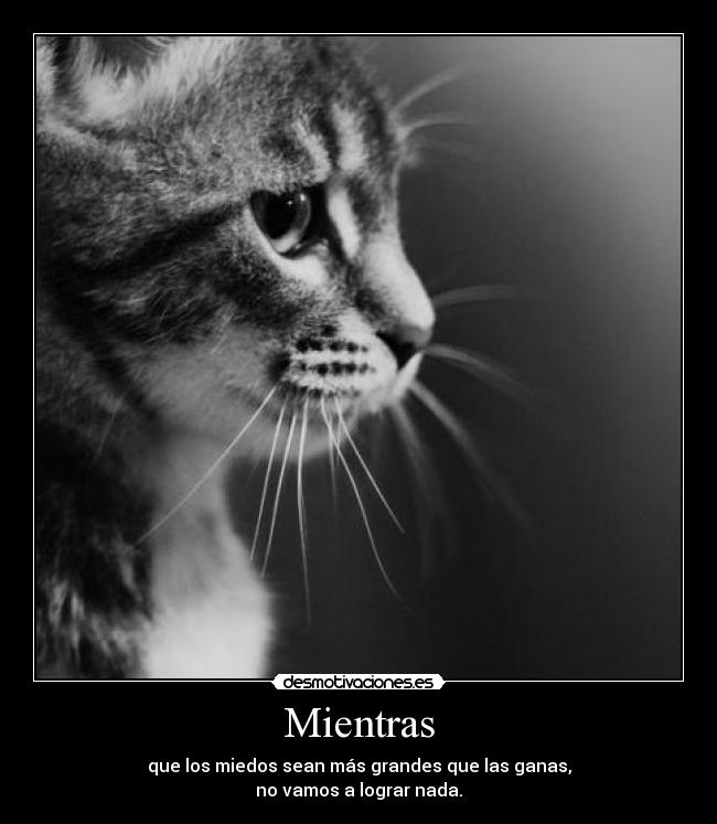 Mientras - que los miedos sean más grandes que las ganas,
no vamos a lograr nada.