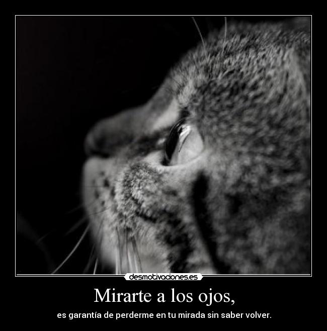 Mirarte a los ojos, -