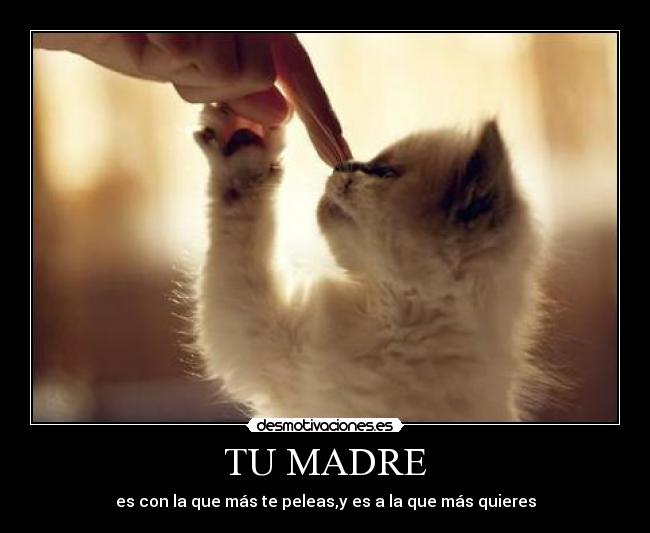 TU MADRE - es con la que más te peleas,y es a la que más quieres