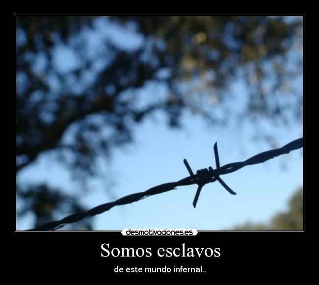 carteles jpta desmotivaciones