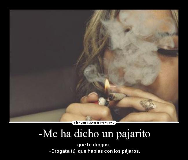 -Me ha dicho un pajarito -