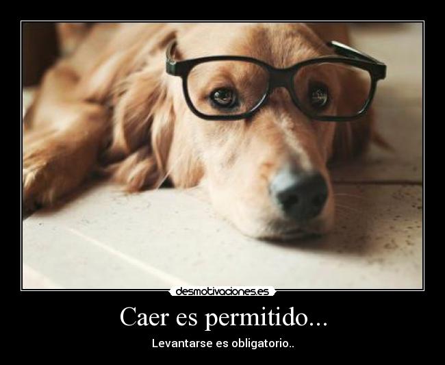 Caer es permitido... - Levantarse es obligatorio..