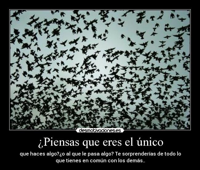 ¿Piensas que eres el único - que haces algo?¿o al que le pasa algo? Te sorprenderías de todo lo
que tienes en común con los demás..