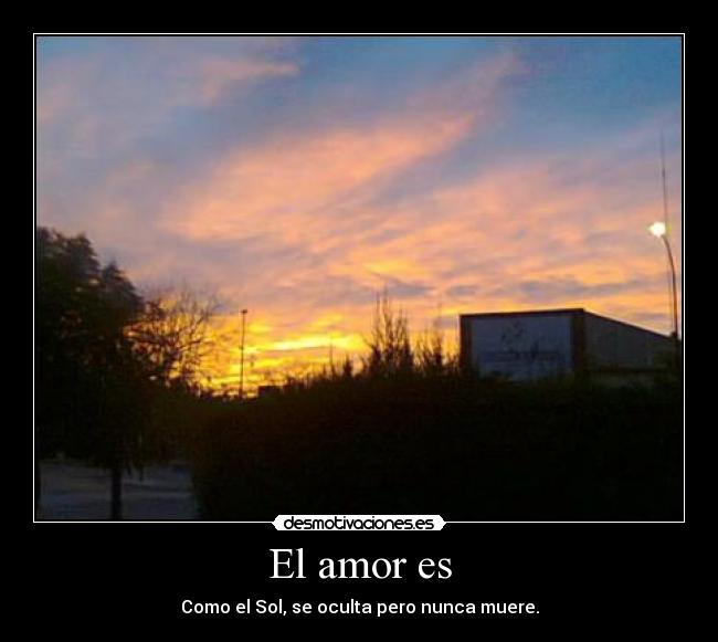 El amor es -