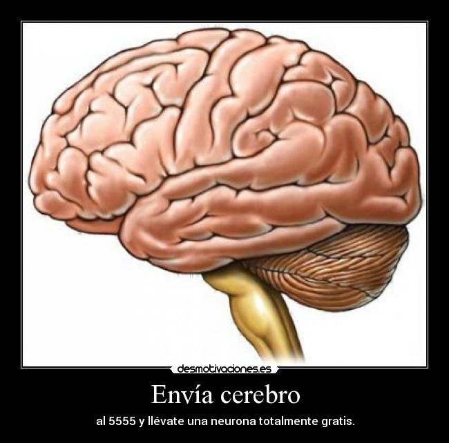 Envía cerebro - al 5555 y llévate una neurona totalmente gratis.