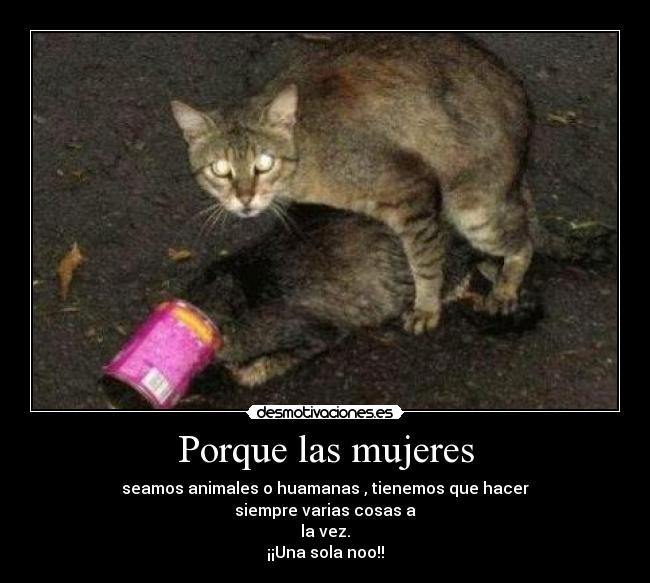 Porque las mujeres - 
