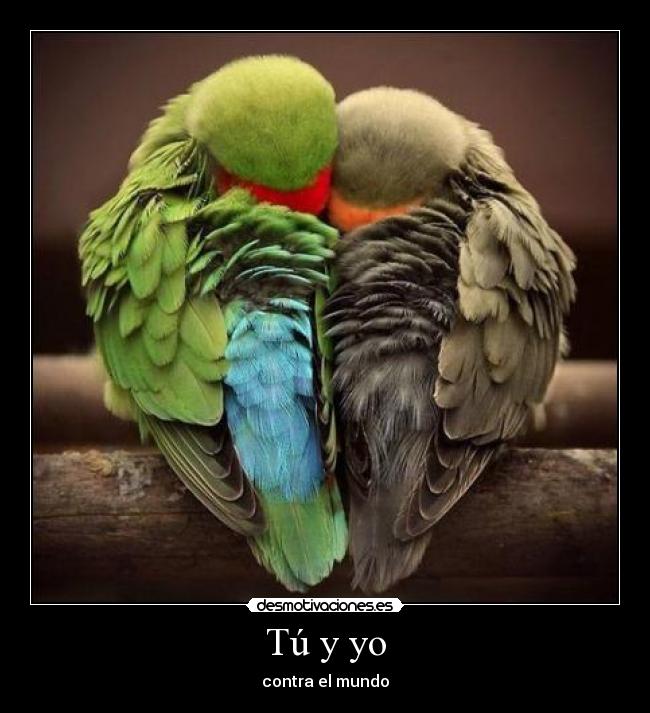 Tú y yo -