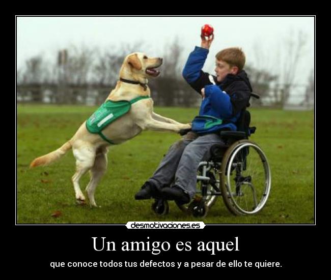 Un amigo es aquel - 
