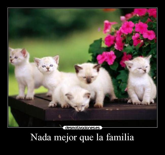 Nada mejor que la familia -