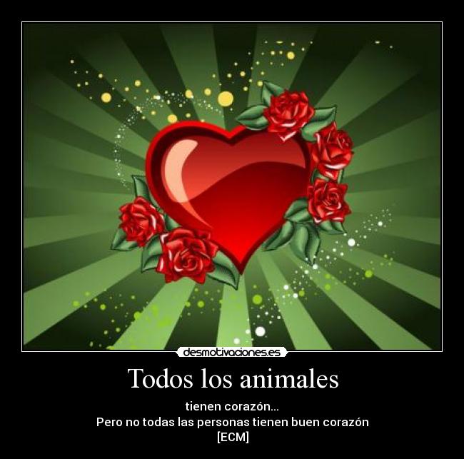 carteles animales buen corazon desmotivaciones