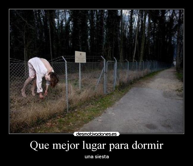 Que mejor lugar para dormir -