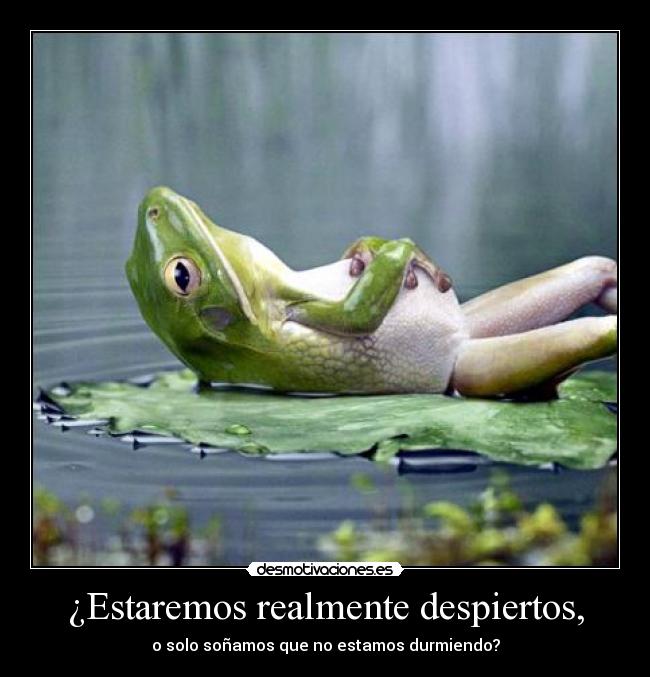 carteles sauel desmotivaciones