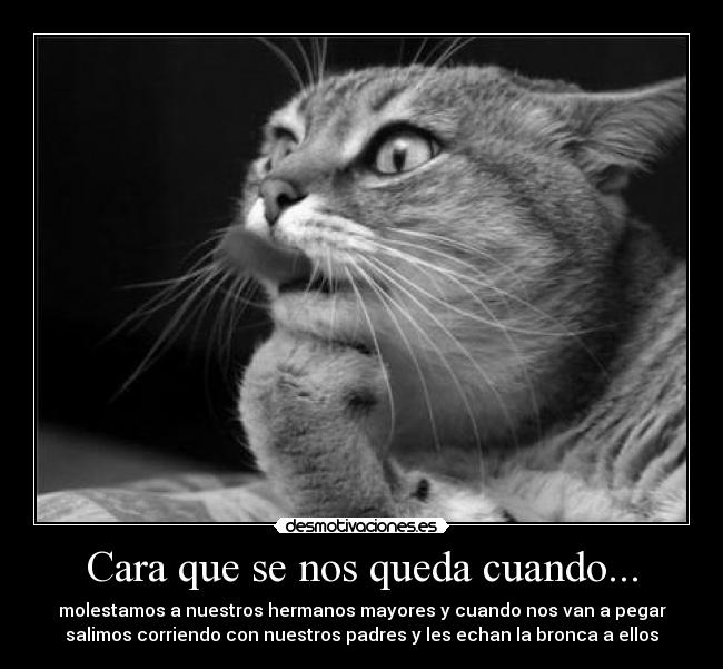 Cara que se nos queda cuando... - molestamos a nuestros hermanos mayores y cuando nos van a pegar
salimos corriendo con nuestros padres y les echan la bronca a ellos