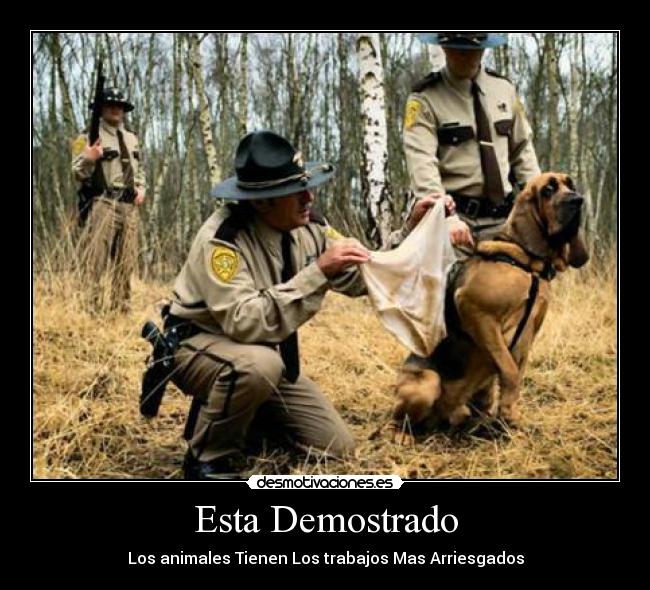 Esta Demostrado - Los animales Tienen Los trabajos Mas Arriesgados