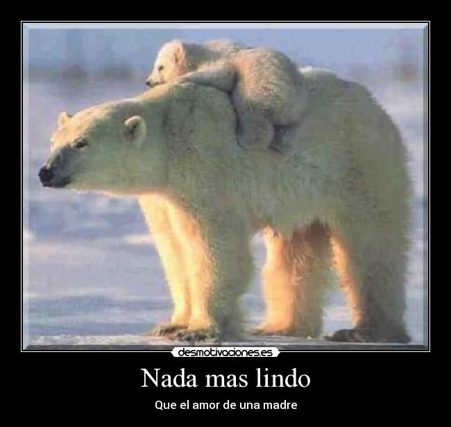 Nada mas lindo - Que el amor de una madre