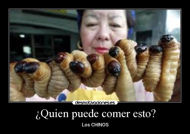 ¿Quien puede comer esto? - Los CHINOS
