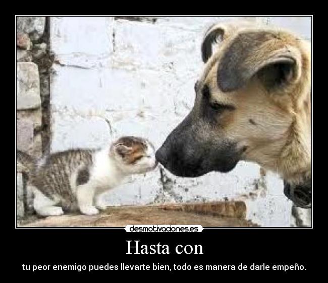 Hasta con - tu peor enemigo puedes llevarte bien, todo es manera de darle empeño.