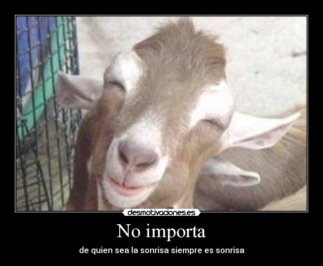 No importa -