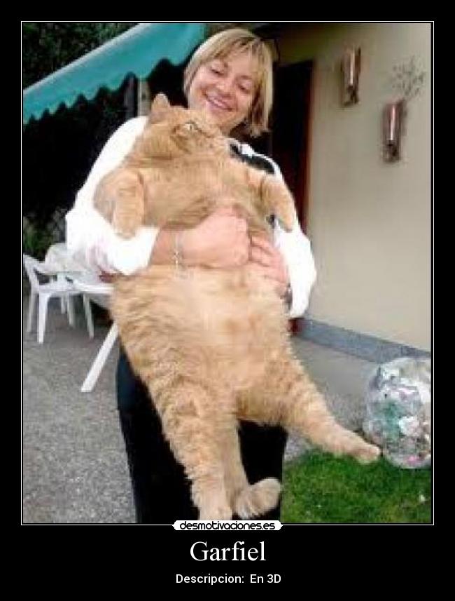 Garfiel - 