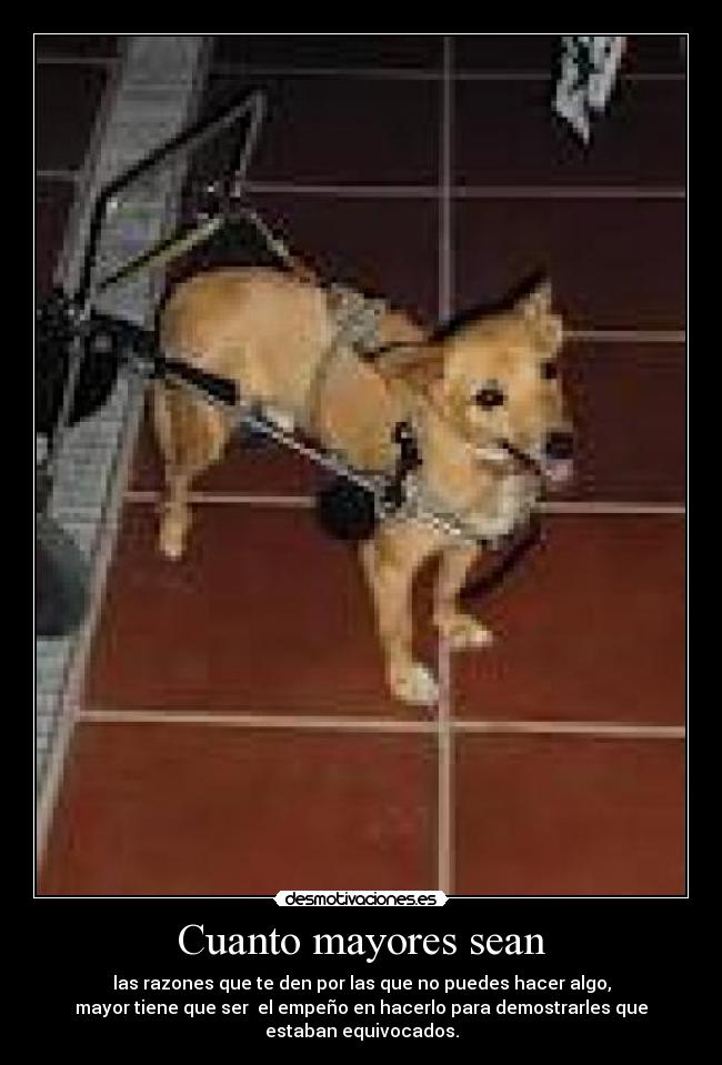 Cuanto mayores sean - las razones que te den por las que no puedes hacer algo,
mayor tiene que ser el empeño en hacerlo para demostrarles que
estaban equivocados.