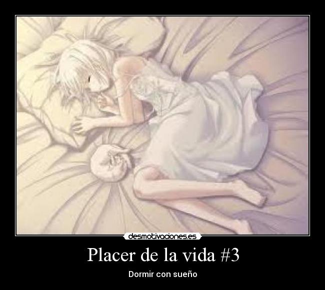 Placer de la vida #3 - Dormir con sueño
