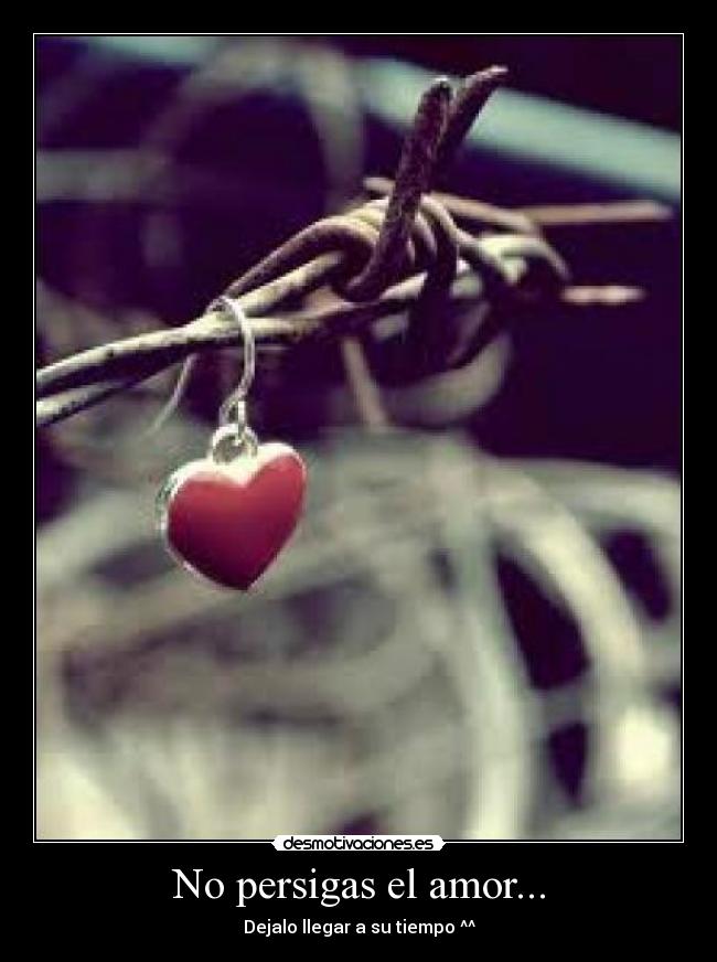No persigas el amor... -