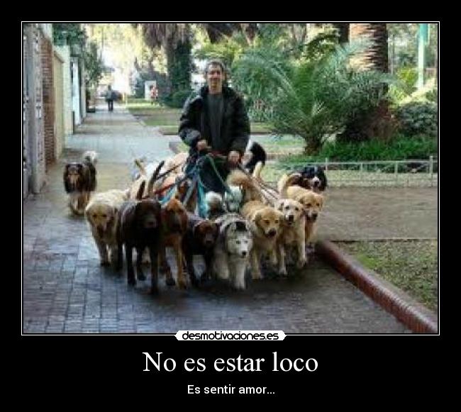 No es estar loco -