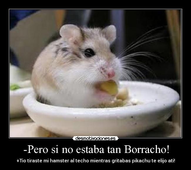 -Pero si no estaba tan Borracho! - +Tio tiraste mi hamster al techo mientras gritabas pikachu te elijo ati!