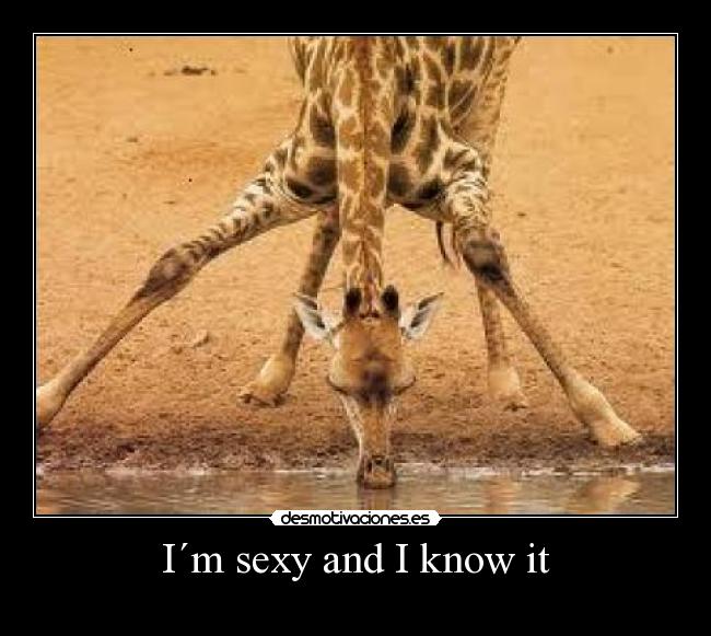 I´m sexy and I know it - 