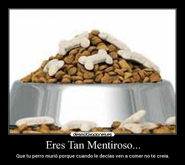 Eres Tan Mentiroso... - Que tu perro murió porque cuando le decías ven a comer no te creía.