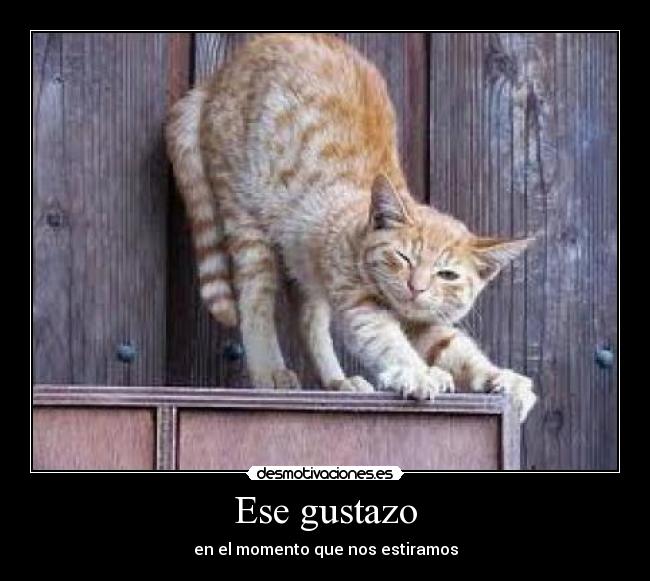 Ese gustazo - 