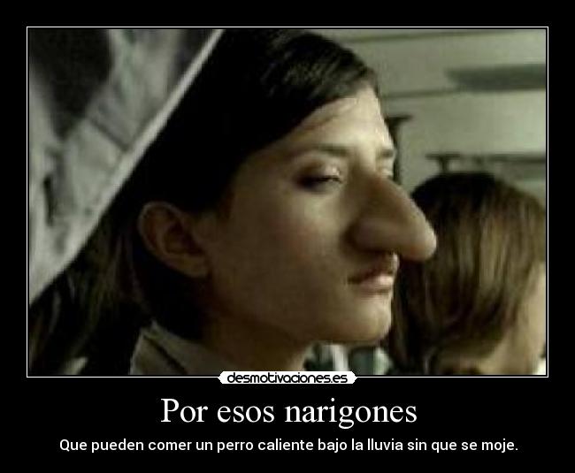 Por esos narigones - 