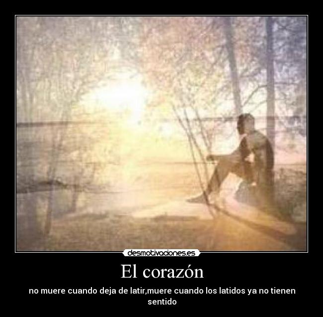 El corazón - no muere cuando deja de latir,muere cuando los latidos ya no tienen sentido