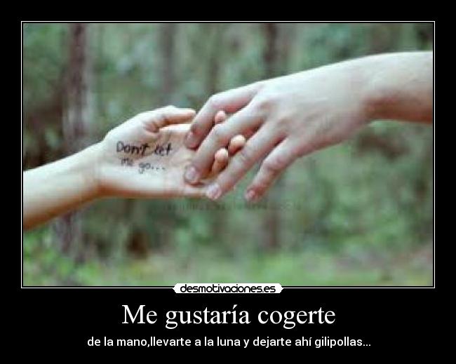 Me gustaría cogerte - 