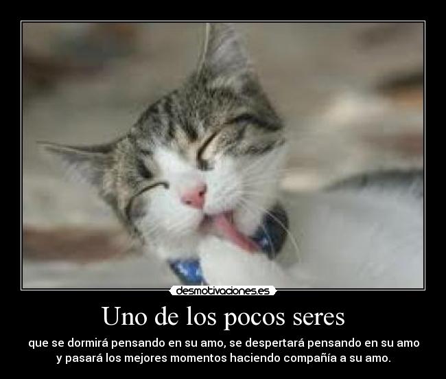 Uno de los pocos seres - 