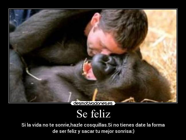 Se feliz - 