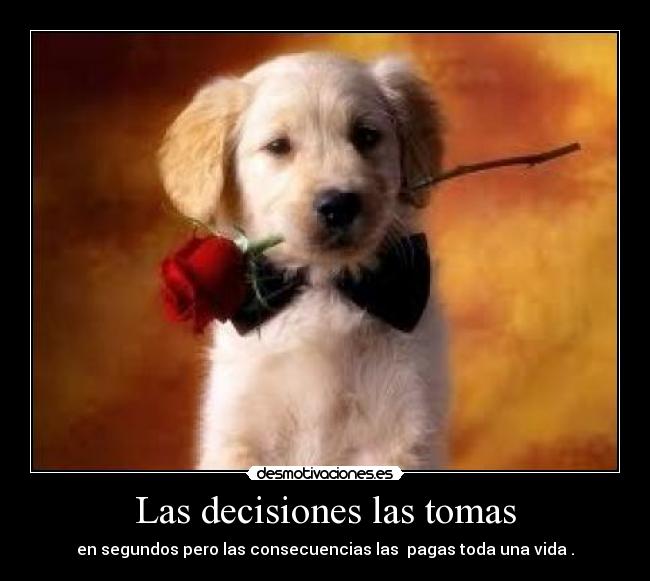 Las decisiones las tomas - 