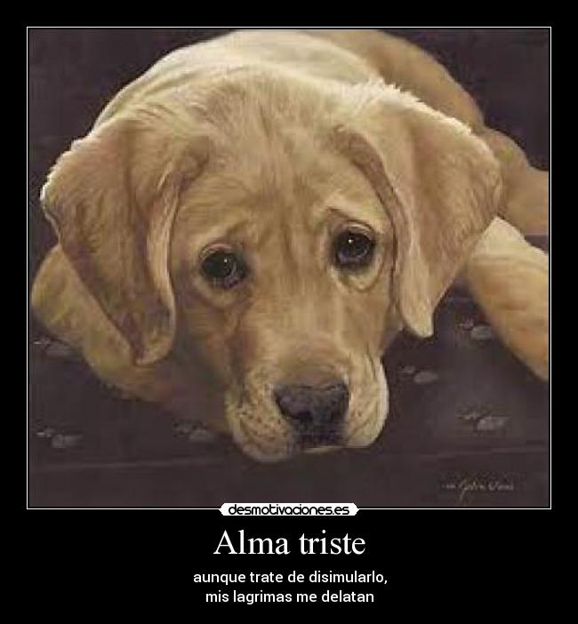 carteles alma sentimientos desmotivaciones