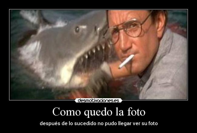 Como quedo la foto - después de lo sucedido no pudo llegar ver su foto