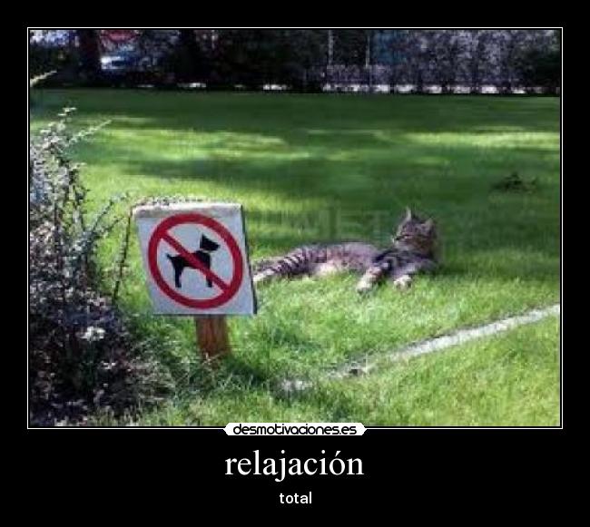 relajación - 