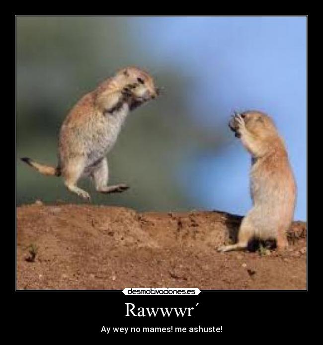 Rawwwr´ - Ay wey no mames! me ashuste!