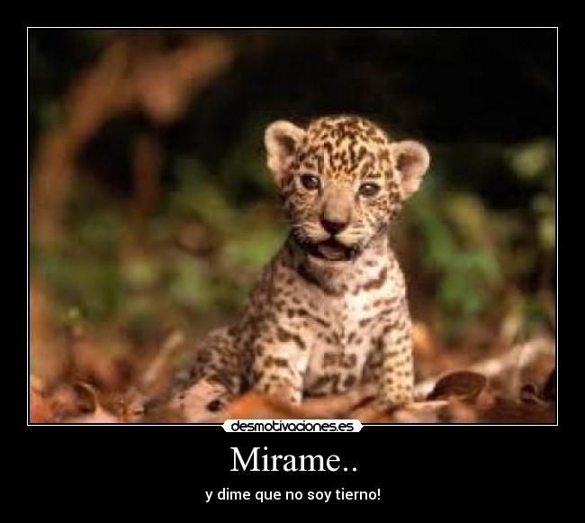 Mirame.. -
